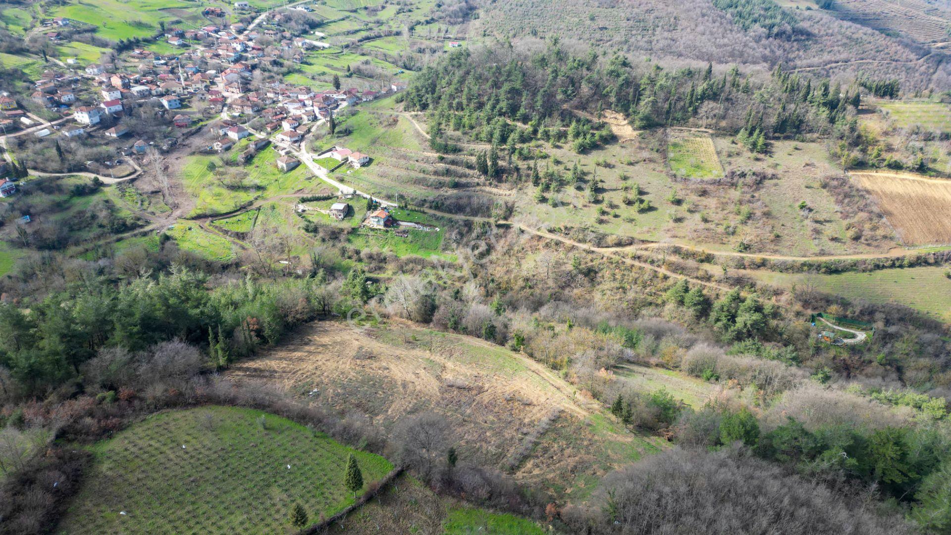 Kocaeli Karamürsel Çamdibi 6.034 M2 Satılık Tarla - Görsel 7