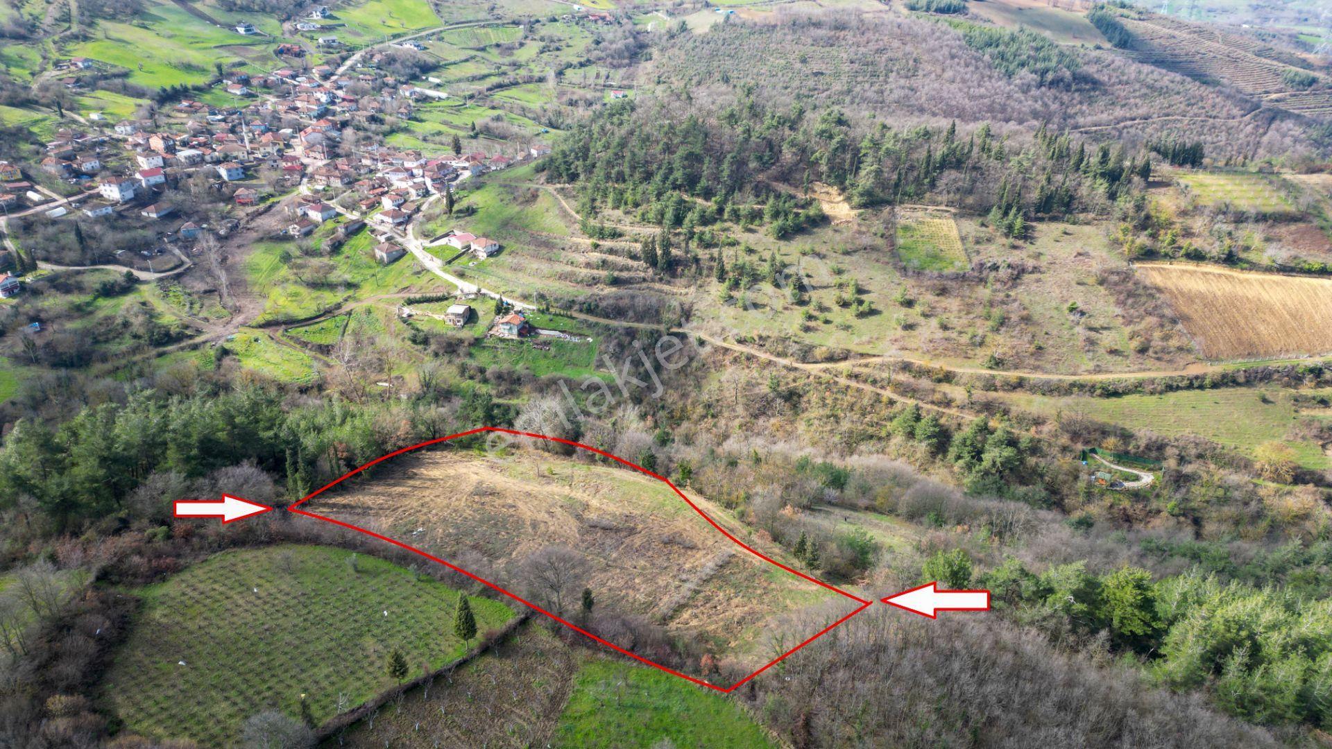 Kocaeli Karamürsel Çamdibi 6.034 M2 Satılık Tarla