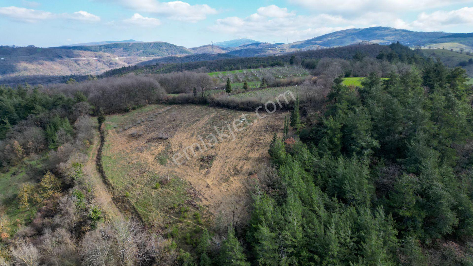 Kocaeli Karamürsel Çamdibi 6.034 M2 Satılık Tarla - Görsel 13