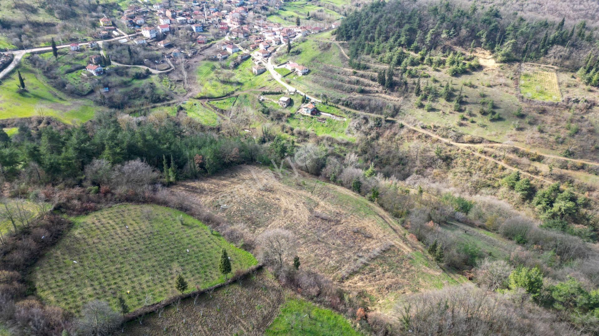 Kocaeli Karamürsel Çamdibi 6.034 M2 Satılık Tarla - Görsel 5