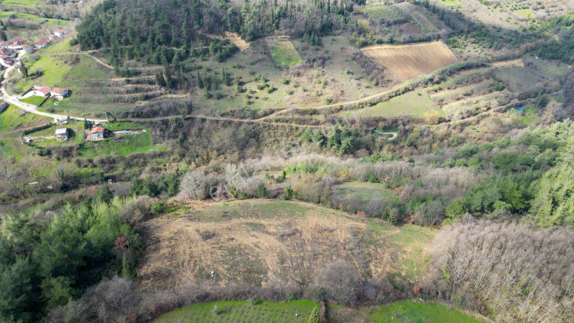 Kocaeli Karamürsel Çamdibi 6.034 M2 Satılık Tarla - Görsel 3