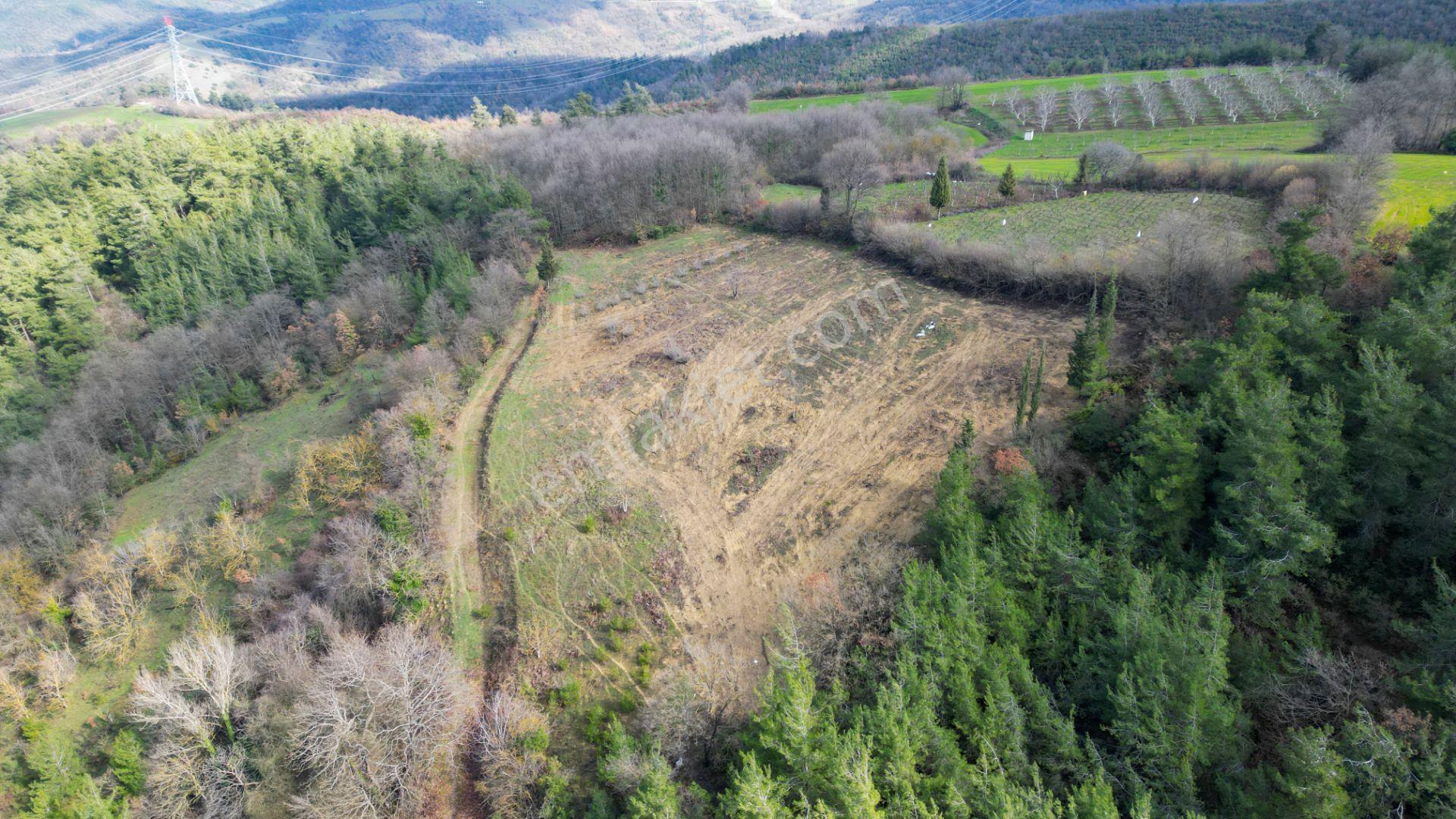 Kocaeli Karamürsel Çamdibi 6.034 M2 Satılık Tarla - Görsel 9