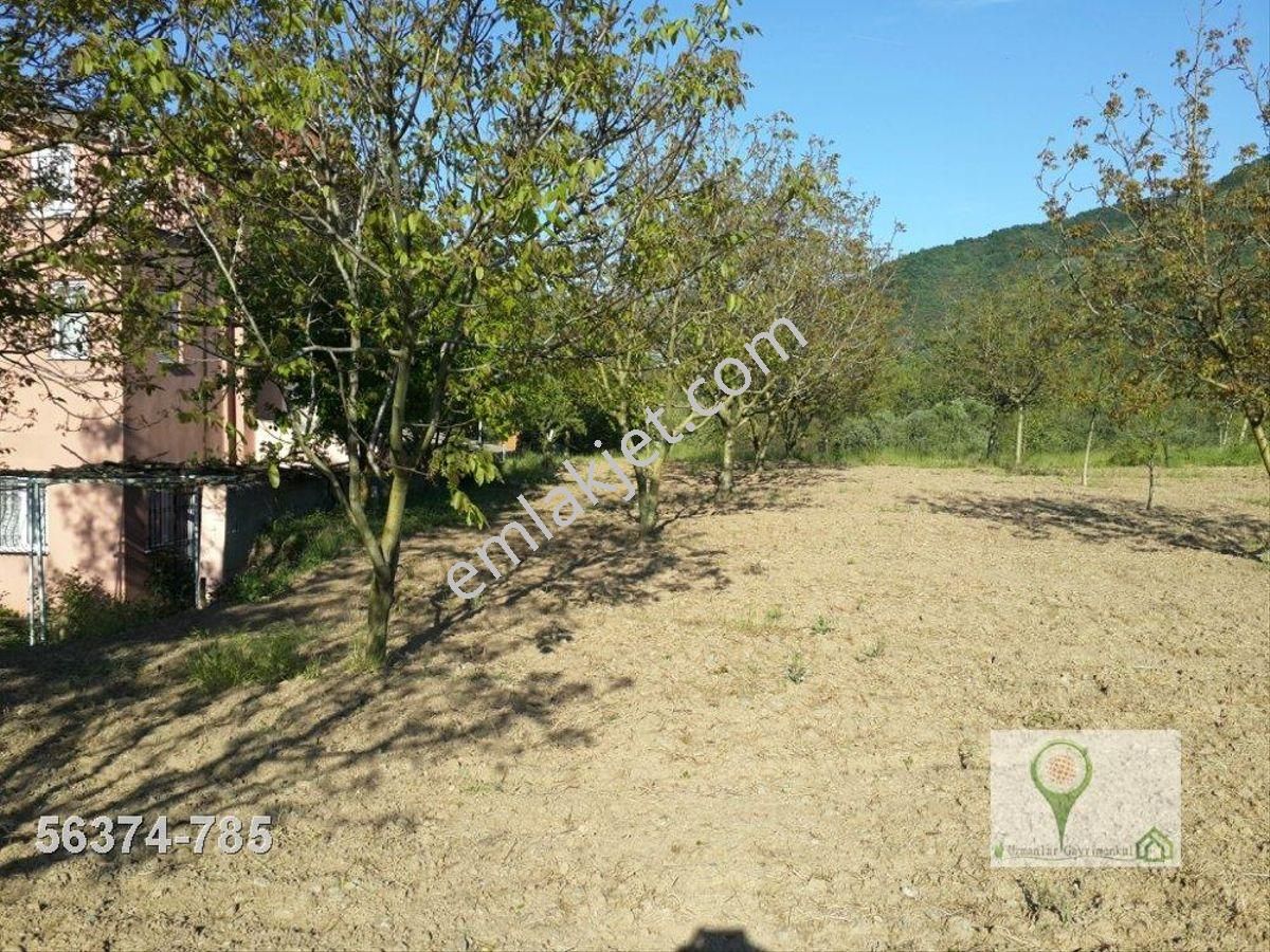 Uzmanlar'dan Karamürsel Avcıköyde 14300 M2 Çiftlik Arazisi Villa - Görsel 8