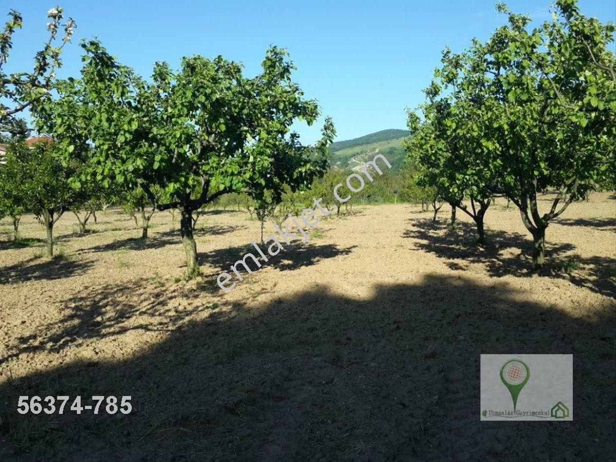 Uzmanlar'dan Karamürsel Avcıköyde 14300 M2 Çiftlik Arazisi Villa - Görsel 16