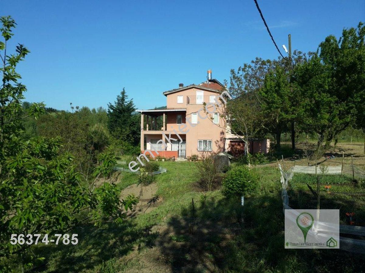 Uzmanlar'dan Karamürsel Avcıköyde 14300 M2 Çiftlik Arazisi Villa - Görsel 4