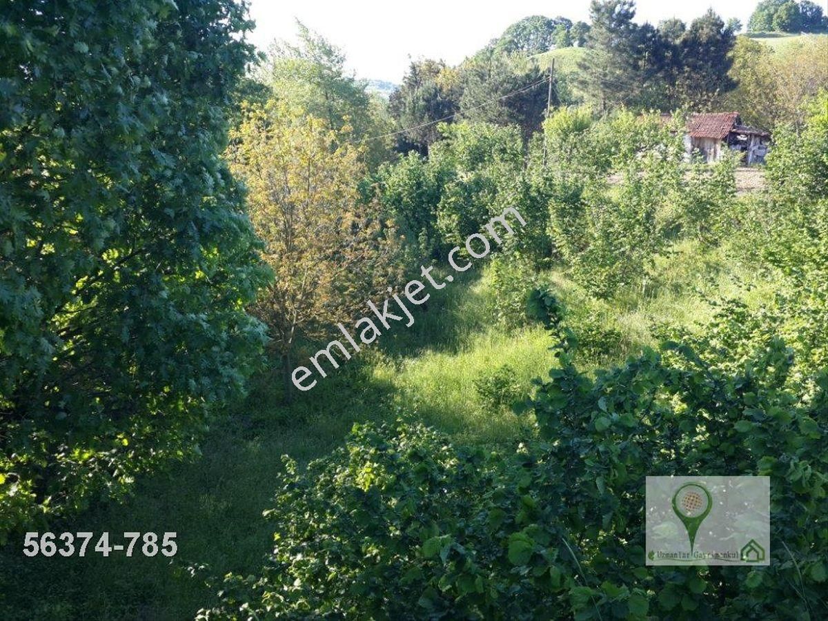 Uzmanlar'dan Karamürsel Avcıköyde 14300 M2 Çiftlik Arazisi Villa - Görsel 14