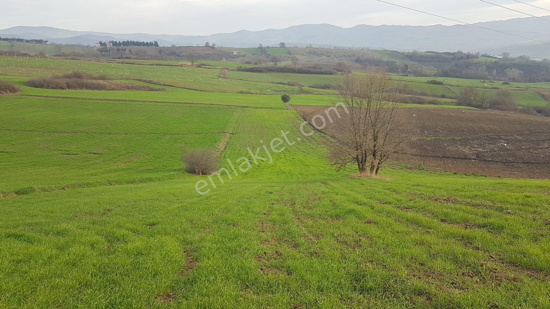 Uzmanlar’dan Yalakdere’de 6.837 M² Yatırımlık Tarla - Görsel 7