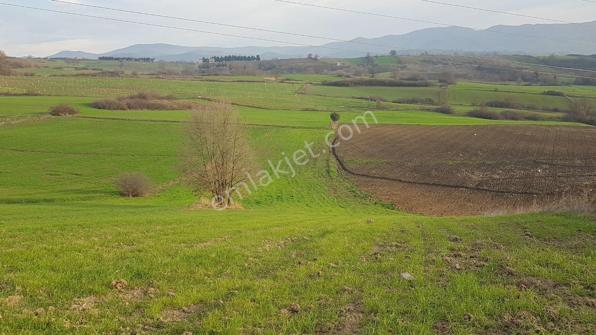 Uzmanlar’dan Yalakdere’de 6.837 M² Yatırımlık Tarla - Görsel 5