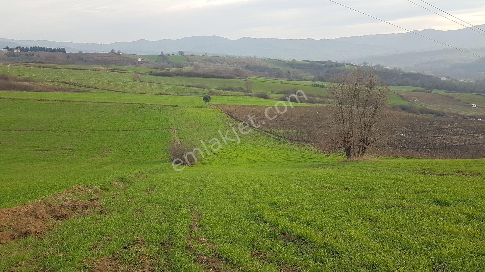 Uzmanlar’dan Yalakdere’de 6.837 M² Yatırımlık Tarla - Görsel 3