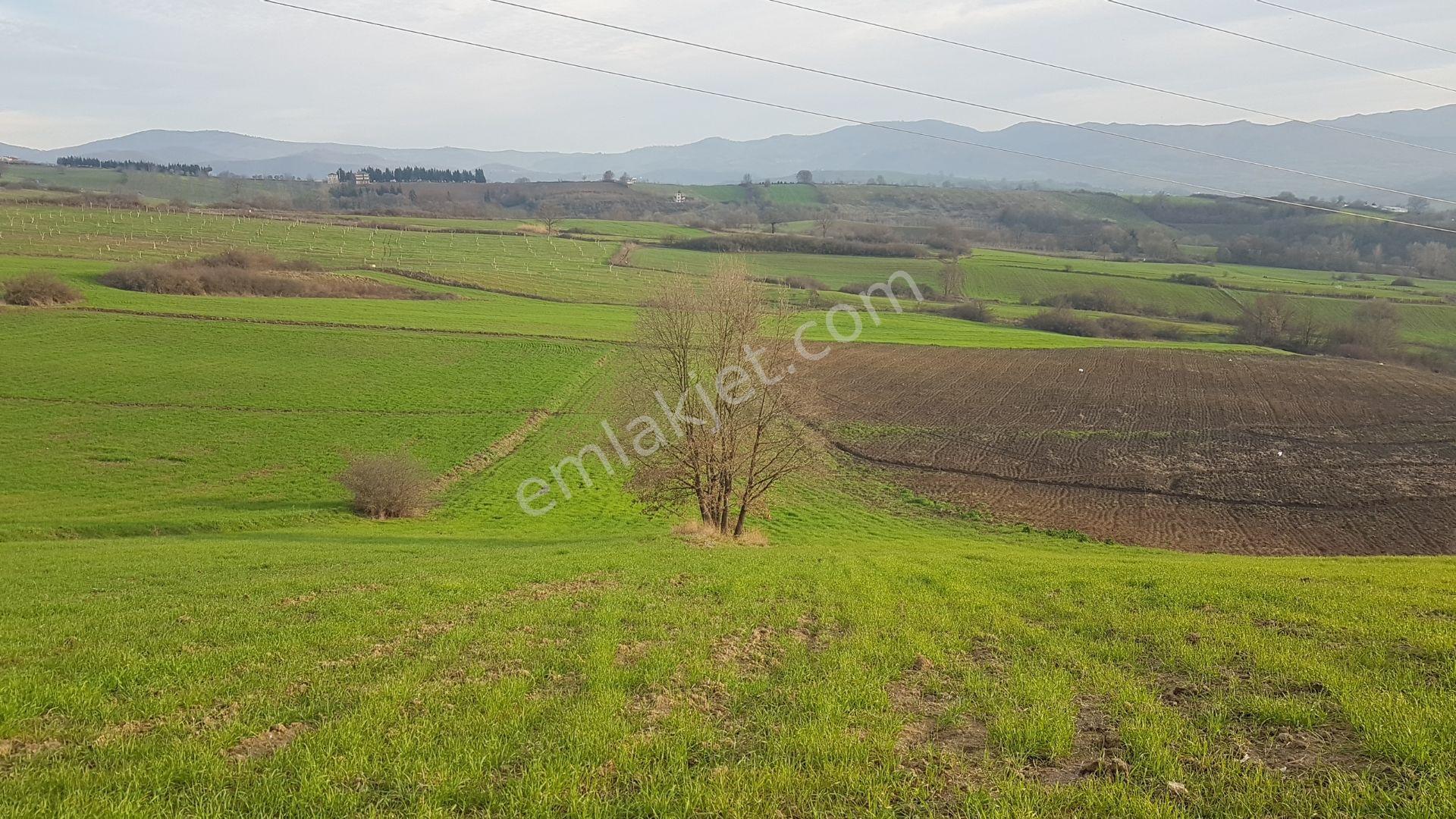Uzmanlar’dan Yalakdere’de 6.837 M² Yatırımlık Tarla - Görsel 4