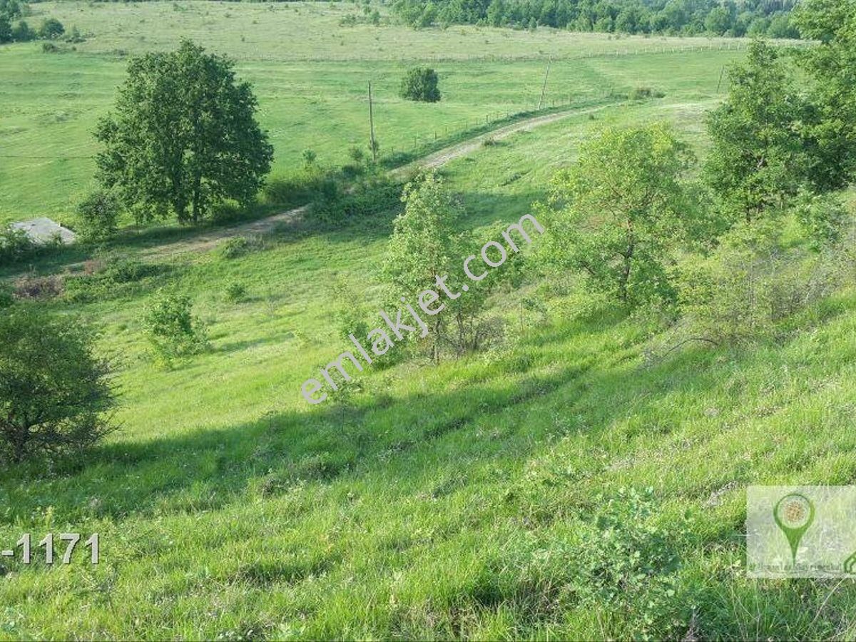 Karamürsel Yalakdere Satılık Tarla Uzmanlar Dan Satılık Tarla 15933 M2 Kocaeli Karamürsel Yalakdere