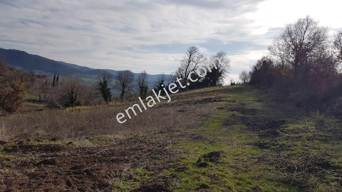 Kocaeli Karamürsel Yalakdere Satılık 7913 M² Yatırımlık Tarla - Görsel 18