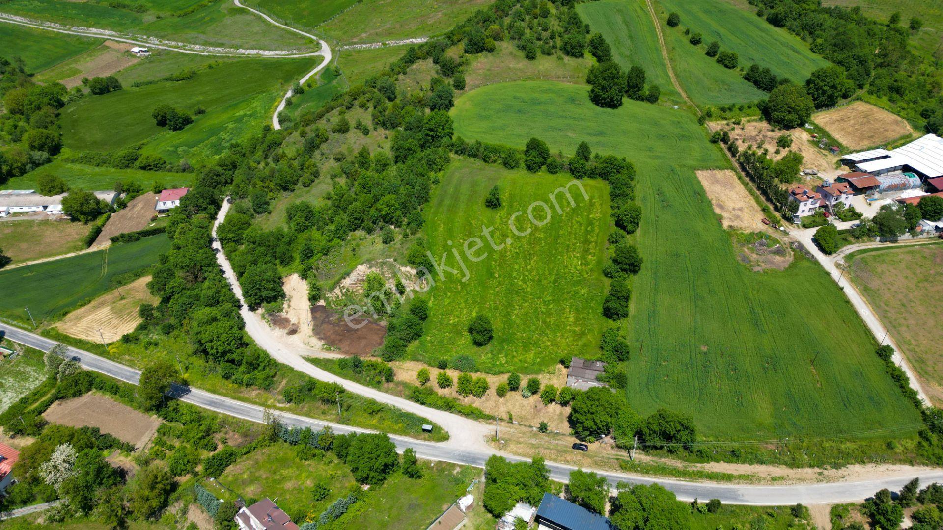 Kocaeli Karamürsel Valideköprü Mah. Satılık 8911 M² Fırsat Parsel - Görsel 12