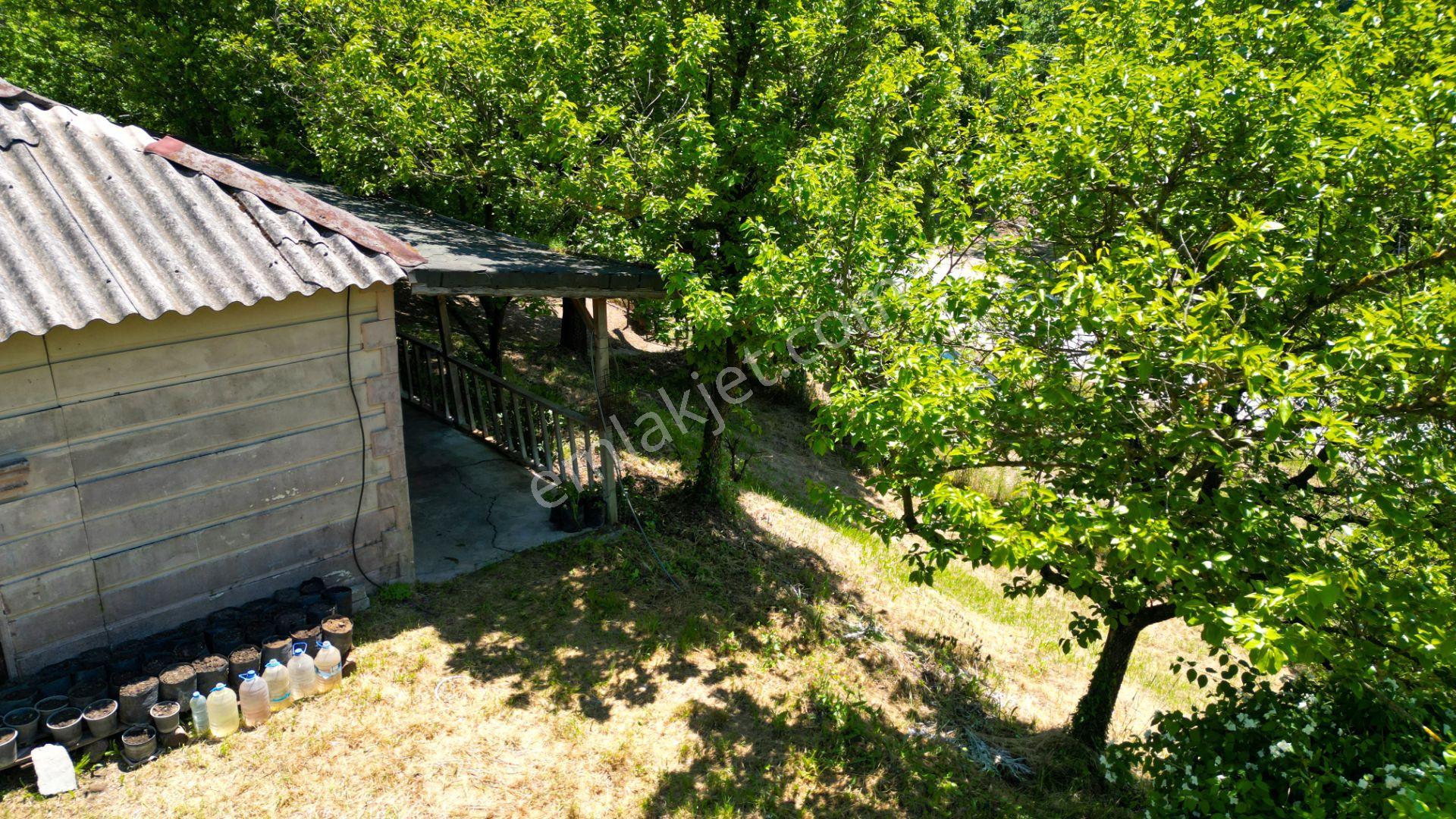 Kocaeli Karamürsel Valideköprü Mah. Satılık 8911 M² Fırsat Parsel - Görsel 16