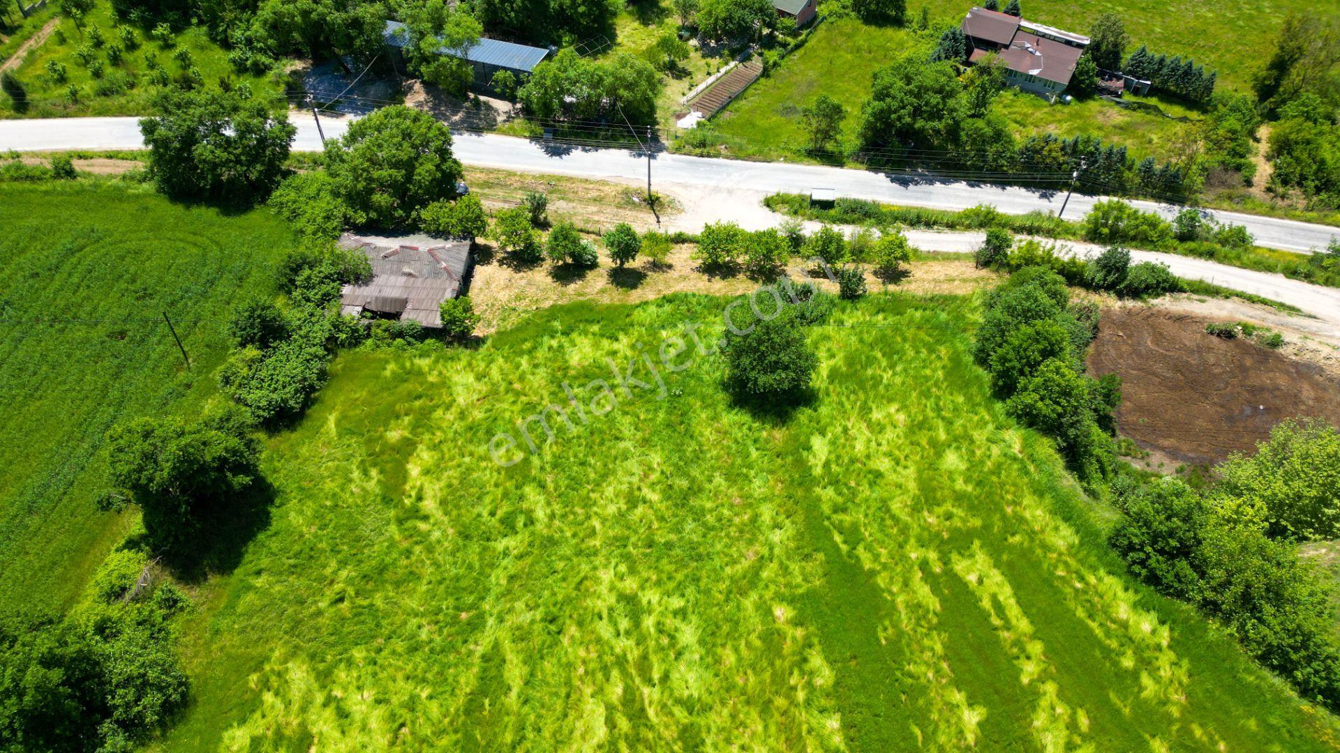 Kocaeli Karamürsel Valideköprü Mah. Satılık 8911 M² Fırsat Parsel - Görsel 5