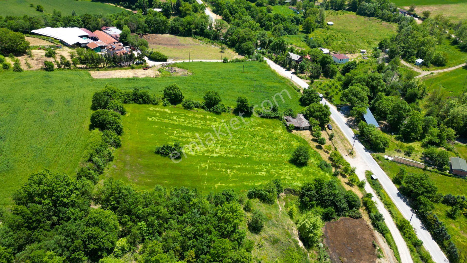 Kocaeli Karamürsel Valideköprü Mah. Satılık 8911 M² Fırsat Parsel - Görsel 10