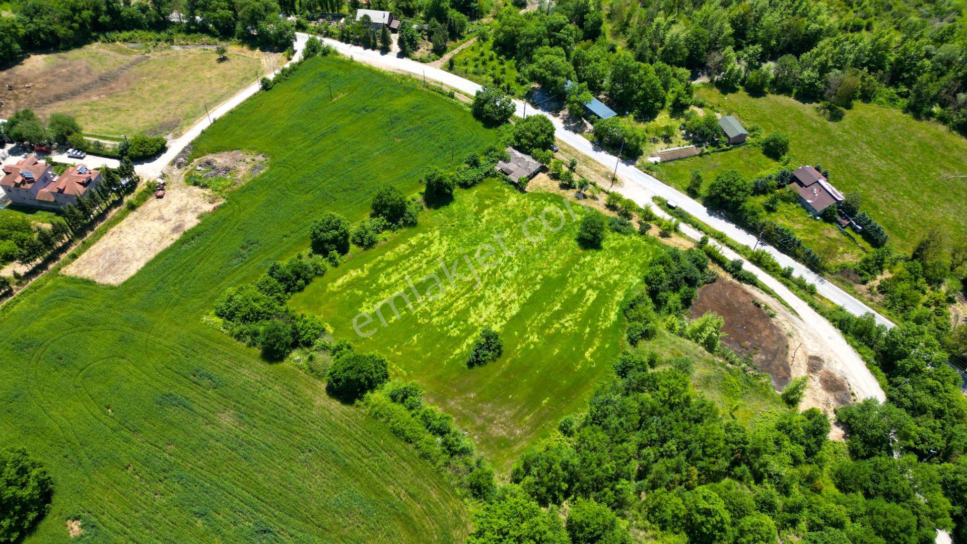 Kocaeli Karamürsel Valideköprü Mah. Satılık 8911 M² Fırsat Parsel - Görsel 4