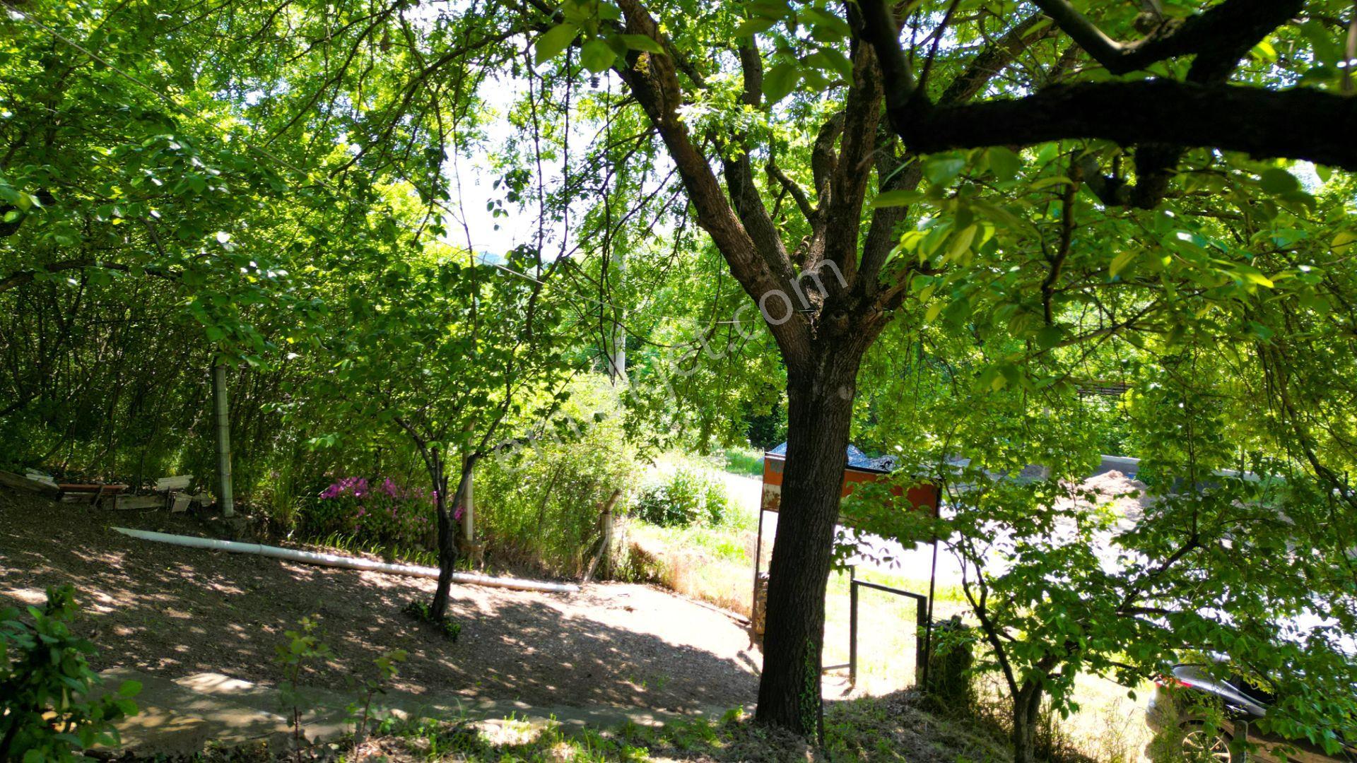 Kocaeli Karamürsel Valideköprü Mah. Satılık 8911 M² Fırsat Parsel - Görsel 17