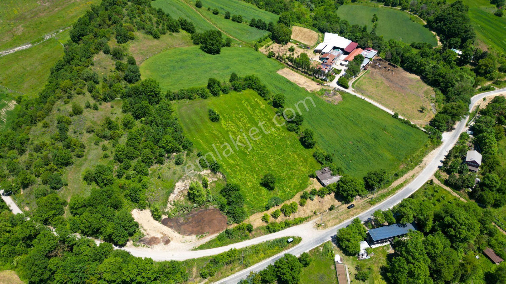 Kocaeli Karamürsel Valideköprü Mah. Satılık 8911 M² Fırsat Parsel - Görsel 11