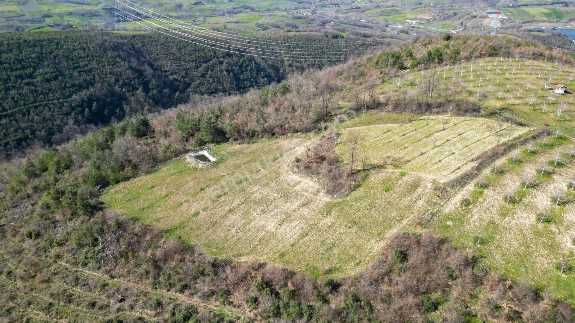 Kocaeli Karamürsel Çamdibi Satılık 5900 M2 Kiraz Bahçesi - Görsel 5