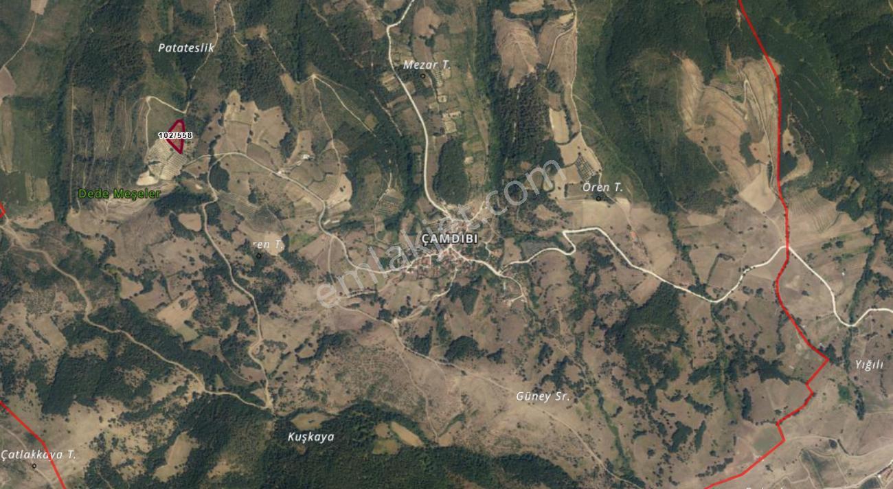 Kocaeli Karamürsel Çamdibi Satılık 5900 M2 Kiraz Bahçesi - Görsel 12