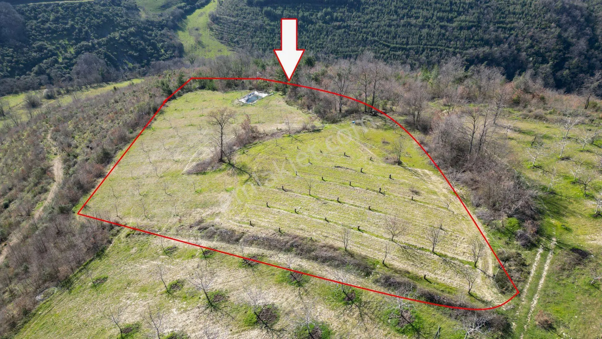 Kocaeli Karamürsel Çamdibi Satılık 5900 M2 Kiraz Bahçesi