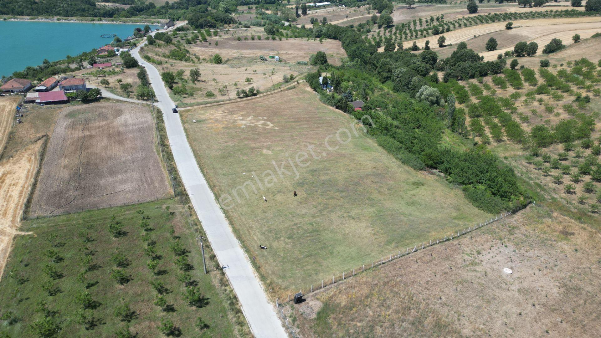Kocaeli Karamürsel Çamdibi Satılık 12.217 M² Benzersiz Tarla - Görsel 6
