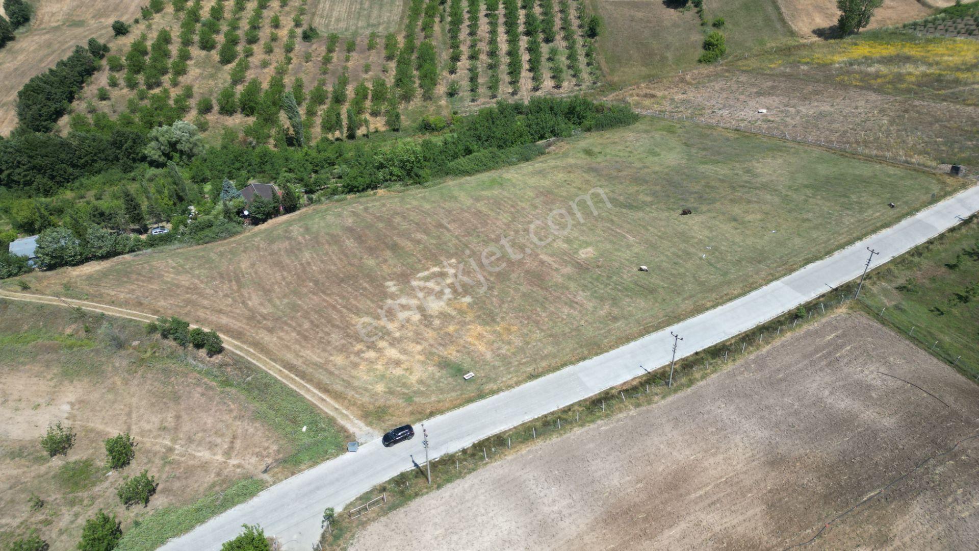 Kocaeli Karamürsel Çamdibi Satılık 12.217 M² Benzersiz Tarla - Görsel 4