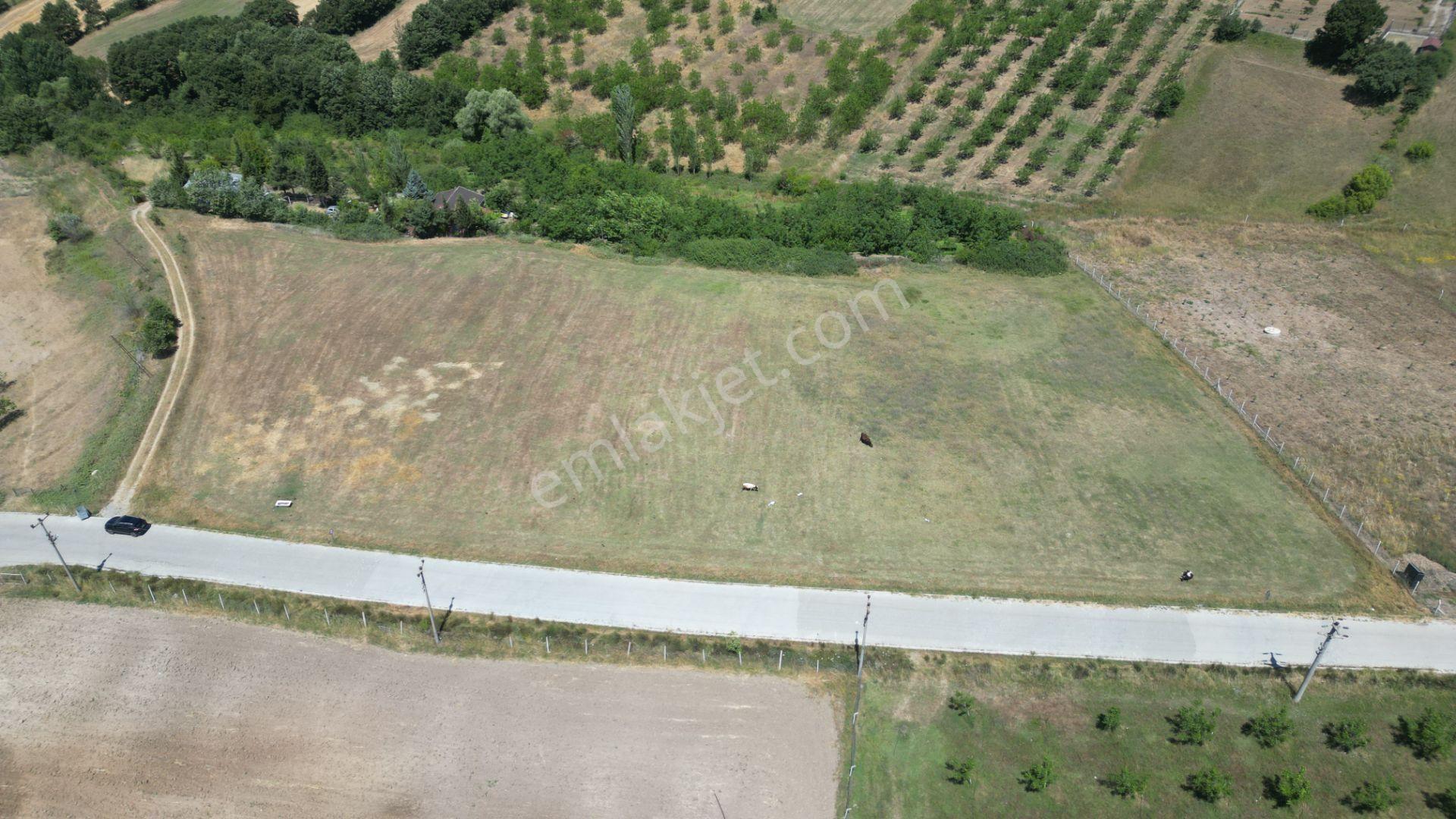 Kocaeli Karamürsel Çamdibi Satılık 12.217 M² Benzersiz Tarla - Görsel 5