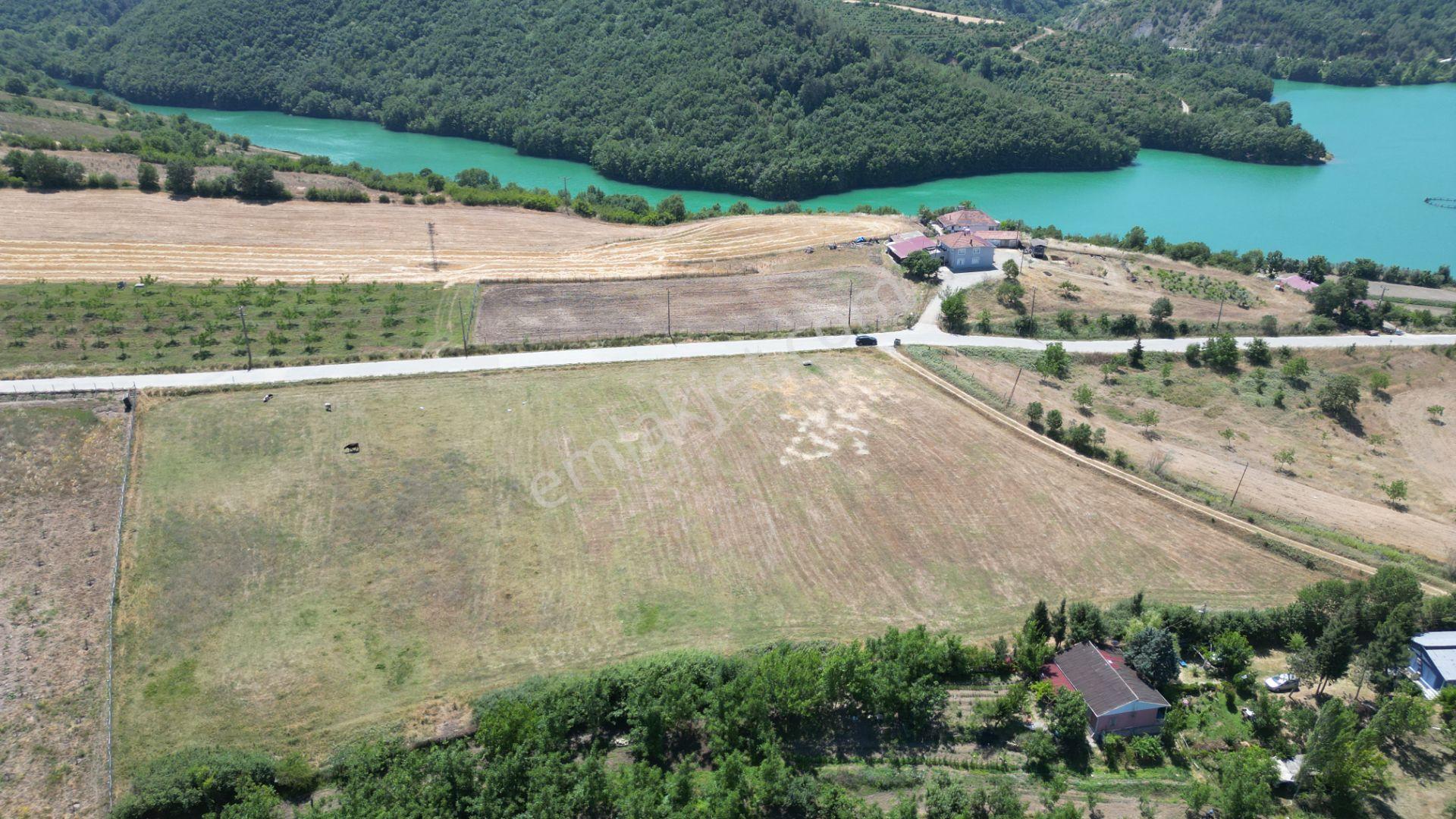 Kocaeli Karamürsel Çamdibi Satılık 12.217 M² Benzersiz Tarla - Görsel 3
