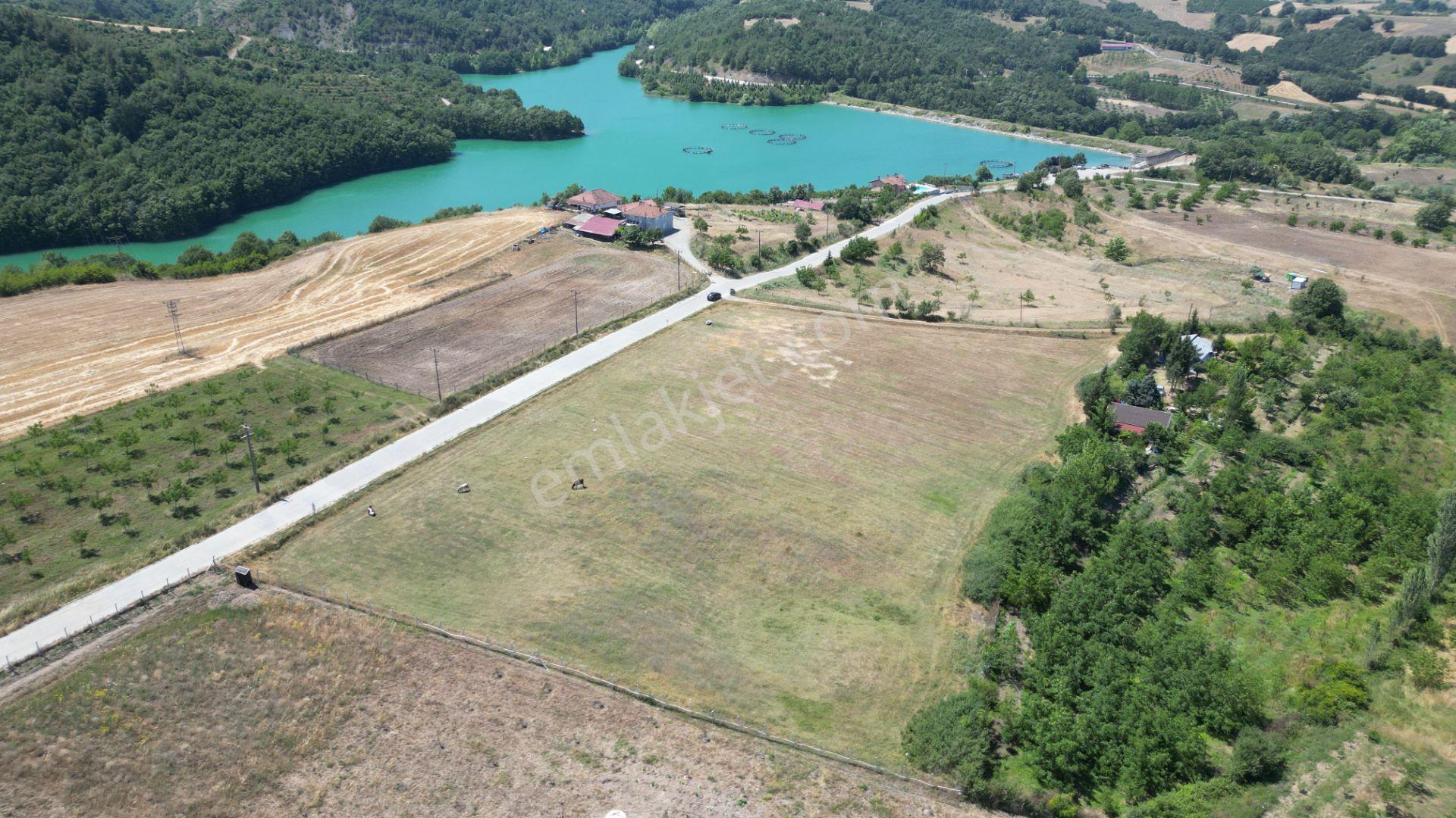 Kocaeli Karamürsel Çamdibi Satılık 12.217 M² Benzersiz Tarla - Görsel 2