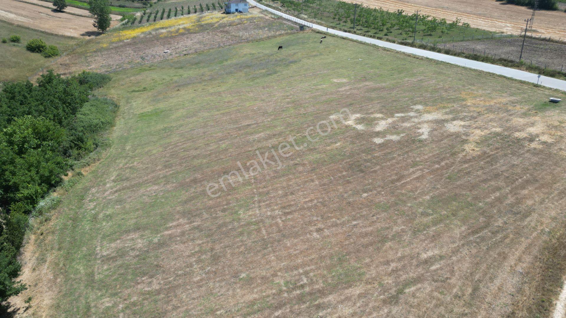 Kocaeli Karamürsel Çamdibi Satılık 12.217 M² Benzersiz Tarla - Görsel 8