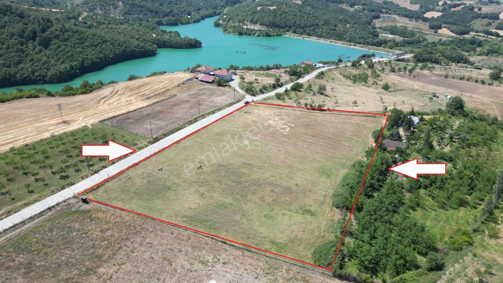 Kocaeli Karamürsel Çamdibi Meşelik Mevkii Satılık 12217 M2 Tarla