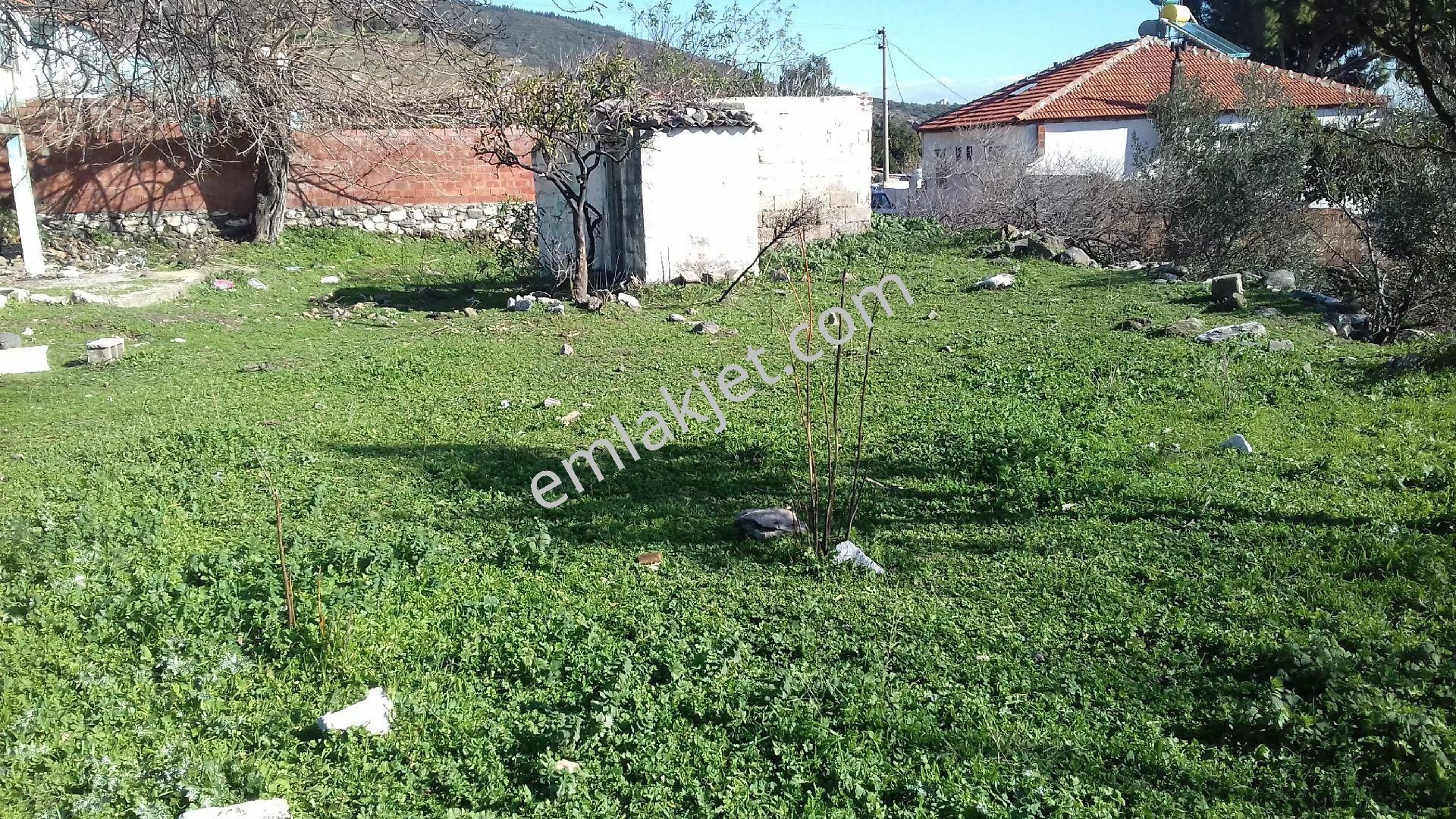 Emlakçıdan Aydın Söke Akçakonak Mahallesi 2+1 Satılık Köy Evi 235.000