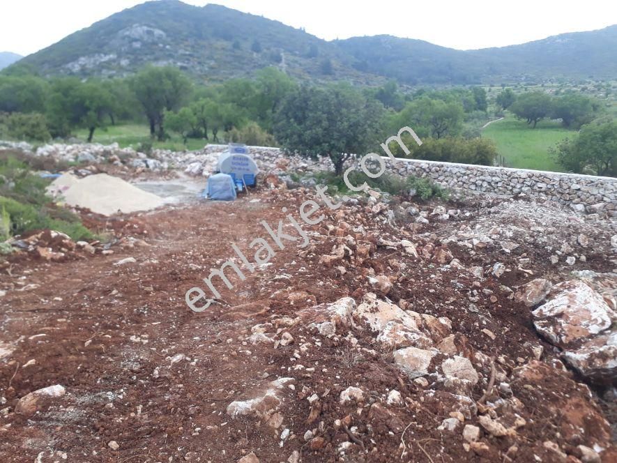 Mulk Emlak Acildoga İçinde Köyde Yaşamak İstermisiniz - Görsel 7
