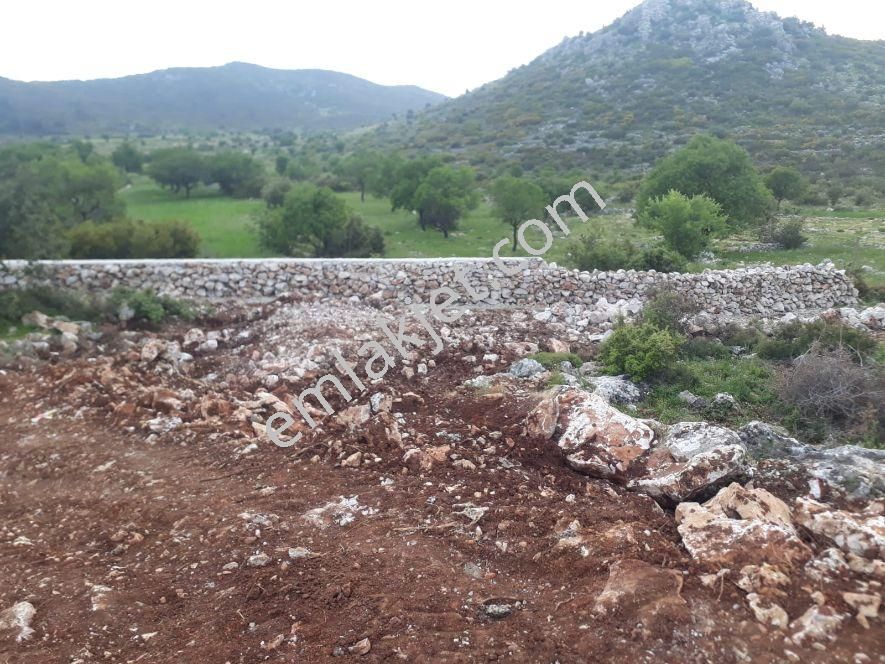 Mulk Emlak Acildoga İçinde Köyde Yaşamak İstermisiniz - Görsel 9