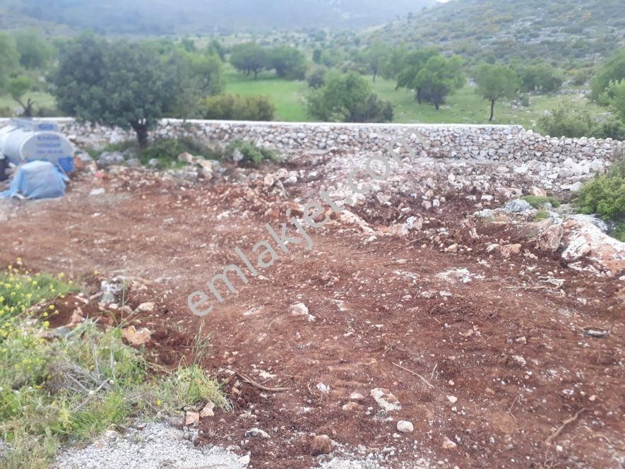 Mulk Emlak Acildoga İçinde Köyde Yaşamak İstermisiniz - Görsel 10