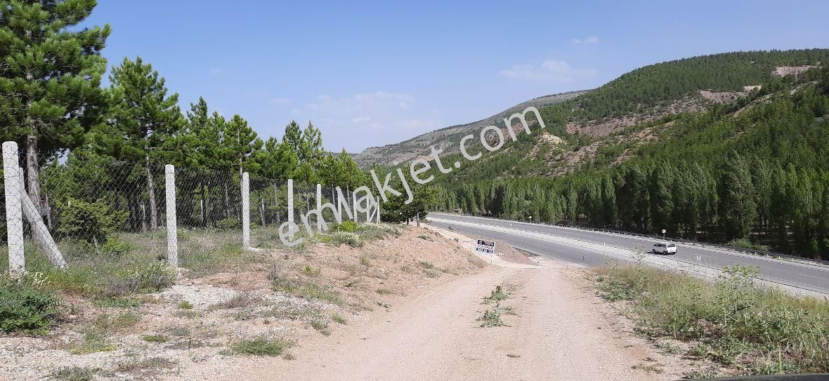 Beyşehir Yoluna Cephe Kaçmayacak Bahçe Yeri - Görsel 12