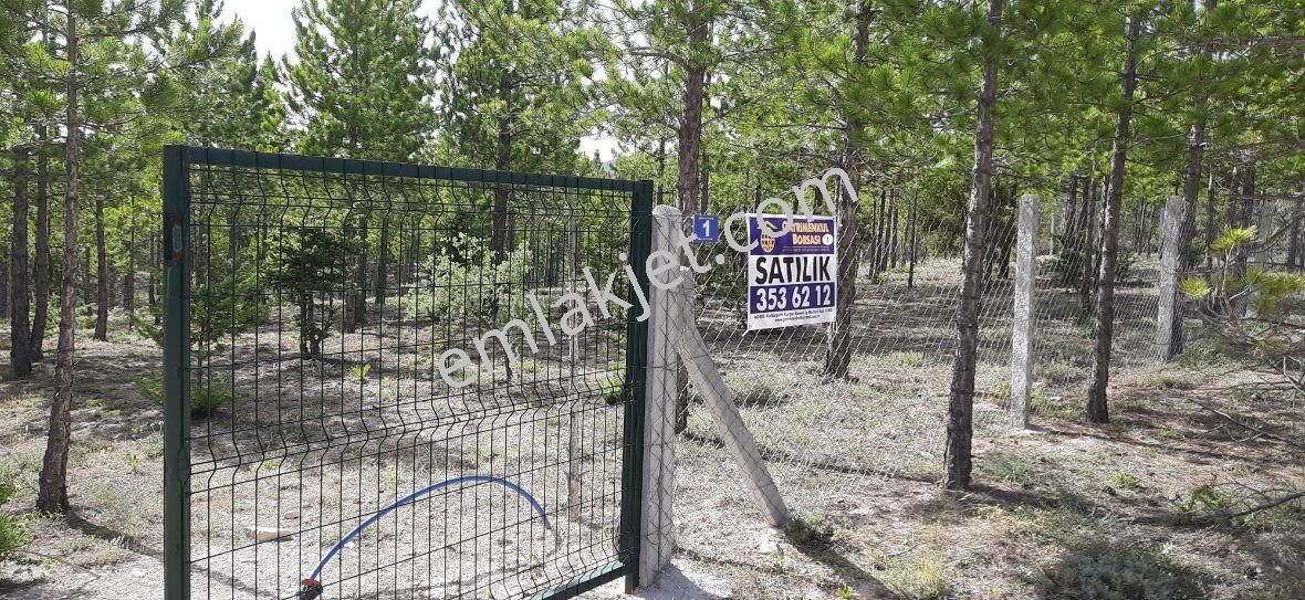 Beyşehir Yoluna Cephe Kaçmayacak Bahçe Yeri - Görsel 9