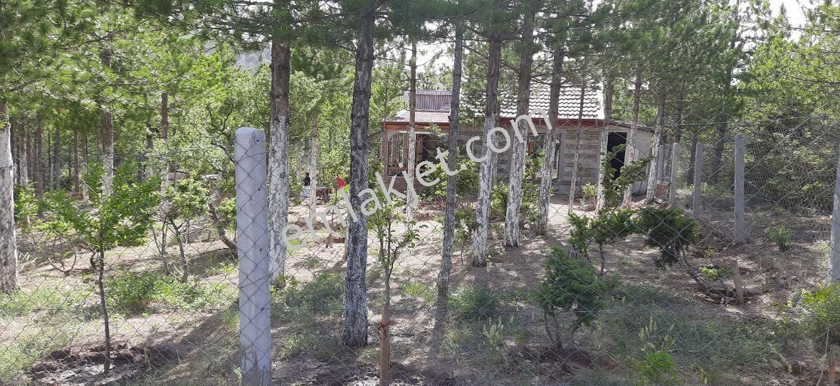 Beyşehir Yoluna Cephe Kaçmayacak Bahçe Yeri - Görsel 4