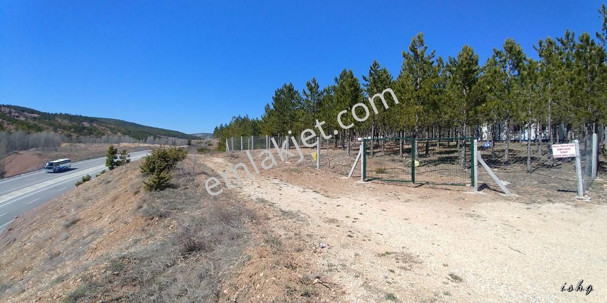 Beyşehir Yoluna Cephe Kaçmayacak Bahçe Yeri - Görsel 25