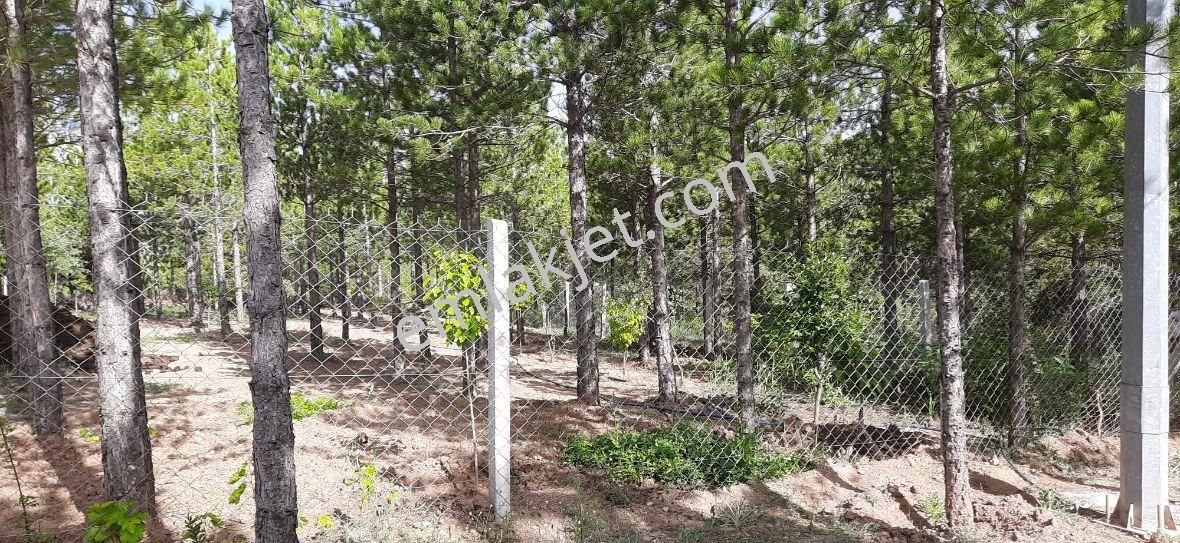 Beyşehir Yoluna Cephe Kaçmayacak Bahçe Yeri - Görsel 11