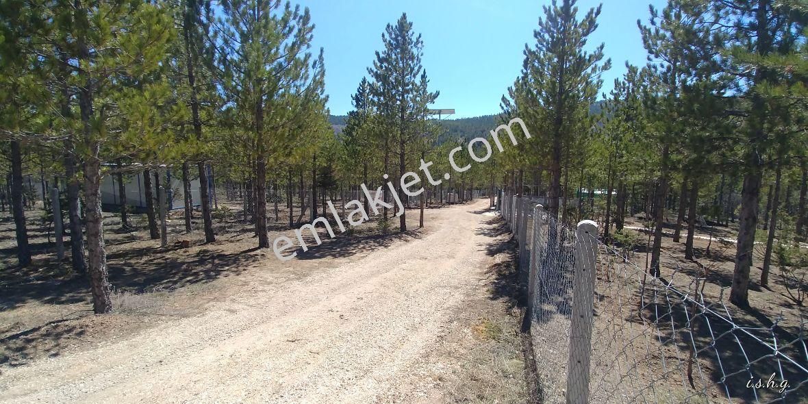 Beyşehir Yoluna Cephe Kaçmayacak Bahçe Yeri - Görsel 19