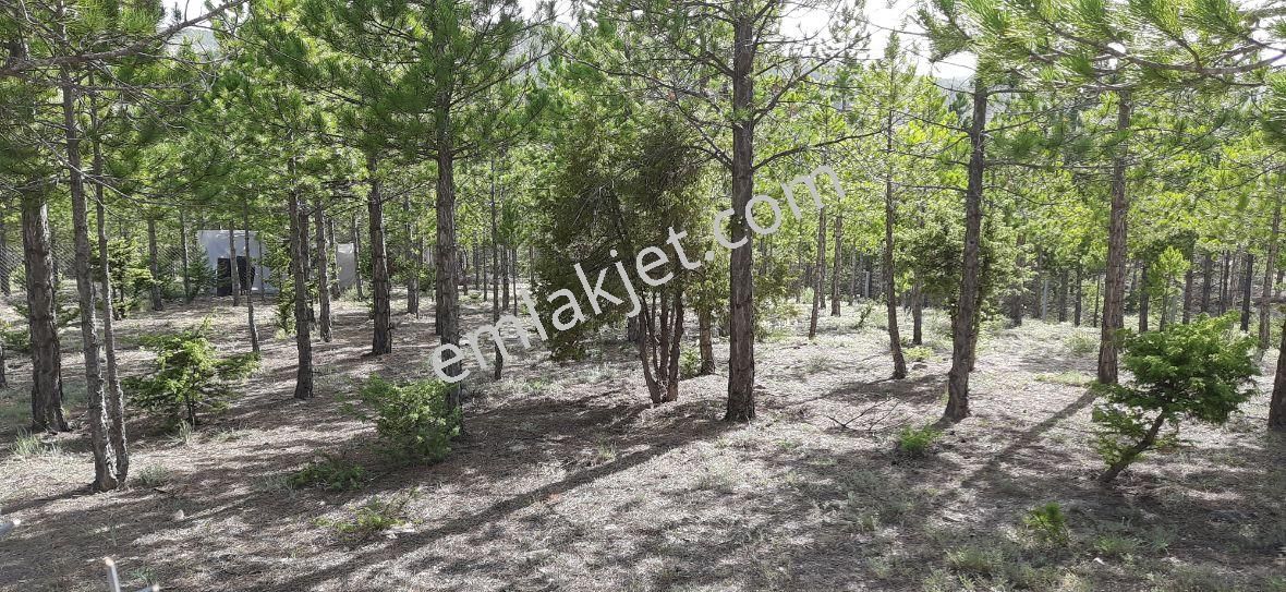 Beyşehir Yoluna Cephe Kaçmayacak Bahçe Yeri - Görsel 7