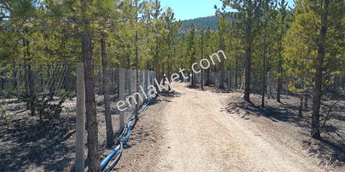 Beyşehir Yoluna Cephe Kaçmayacak Bahçe Yeri - Görsel 14