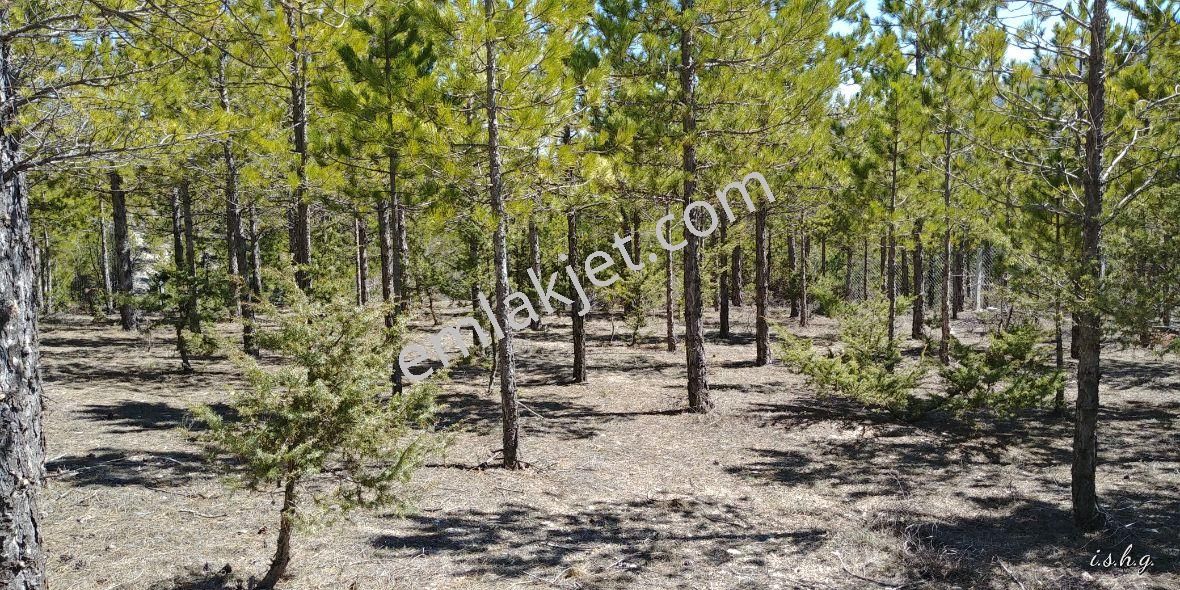 Beyşehir Yoluna Cephe Kaçmayacak Bahçe Yeri - Görsel 13