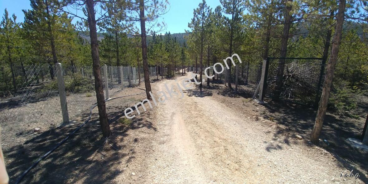 Beyşehir Yoluna Cephe Kaçmayacak Bahçe Yeri - Görsel 15