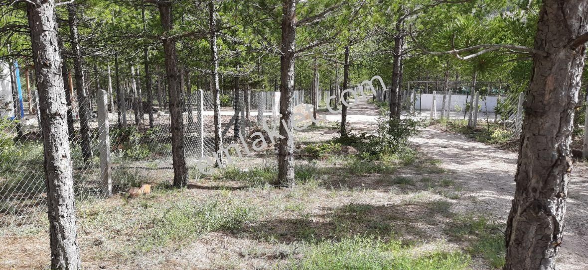 Beyşehir Yoluna Cephe Kaçmayacak Bahçe Yeri - Görsel 2