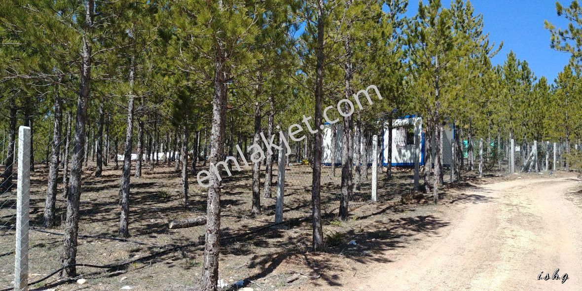 Beyşehir Yoluna Cephe Kaçmayacak Bahçe Yeri - Görsel 23