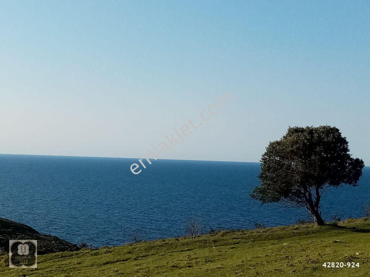 Karada Olup Kara Yolu Olmayan Cennet Seyahat Haberleri
